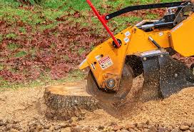 Best Hazardous Tree Removal  in Ashland, OH